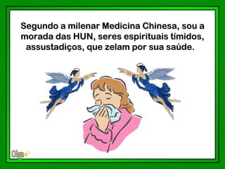 Segundo a milenar Medicina Chinesa, sou a
morada das HUN, seres espirituais tímidos,
 assustadiços, que zelam por sua saúde.
 