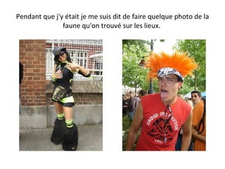 Pendant que j'y était je me suis dit de faire quelque photo de la faune qu'on trouvé sur les lieux.  