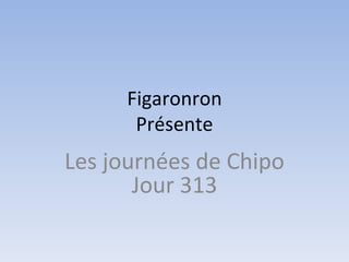 Figaronron
      Présente
Les journées de Chipo
       Jour 313
 