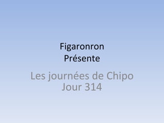 Figaronron
      Présente
Les journées de Chipo
       Jour 314
 