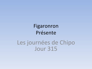 Figaronron
      Présente
Les journées de Chipo
       Jour 315
 