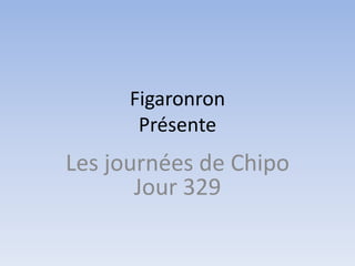 Figaronron
       Présente
Les journées de Chipo
       Jour 329
 