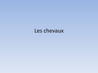 Les chevaux 