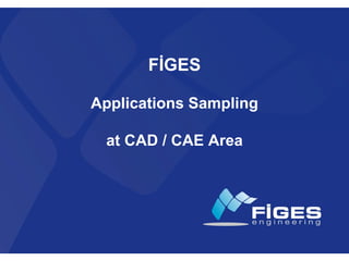 F I G E S  Company  Presentation (21