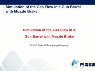 F I G E S  Company  Presentation (21