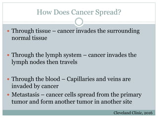 How Does Cancer Spread?
 Through tissue – cancer invades the surrounding
normal tissue
 Through the lymph system – cancer invades the
lymph nodes then travels
 Through the blood – Capillaries and veins are
invaded by cancer
 Metastasis – cancer cells spread from the primary
tumor and form another tumor in another site
Cleveland Clinic, 2016
 