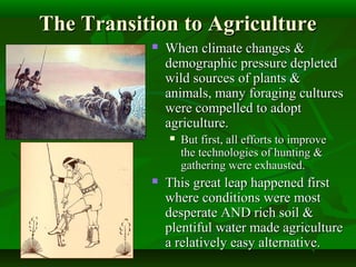 The Transition to AgricultureThe Transition to Agriculture
 When climate changes &When climate changes &
demographic pressure depleteddemographic pressure depleted
wild sources of plants &wild sources of plants &
animals, many foraging culturesanimals, many foraging cultures
were compelled to adoptwere compelled to adopt
agriculture.agriculture.
 But first, all efforts to improveBut first, all efforts to improve
the technologies of hunting &the technologies of hunting &
gathering were exhausted.gathering were exhausted.
 This great leap happened firstThis great leap happened first
where conditions were mostwhere conditions were most
desperate AND rich soil &desperate AND rich soil &
plentiful water made agricultureplentiful water made agriculture
a relatively easy alternative.a relatively easy alternative.
 
