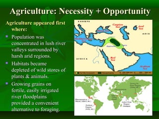 Agriculture: Necessity + OpportunityAgriculture: Necessity + Opportunity
Agriculture appeared firstAgriculture appeared first
where:where:
 Population wasPopulation was
concentrated in lush riverconcentrated in lush river
valleys surrounded byvalleys surrounded by
harsh arid regions.harsh arid regions.
 Habitats becameHabitats became
depleted of wild stores ofdepleted of wild stores of
plants & animals.plants & animals.
 Growing grains onGrowing grains on
fertile, easily irrigatedfertile, easily irrigated
river floodplainsriver floodplains
provided a convenientprovided a convenient
alternative to foraging.alternative to foraging.
 