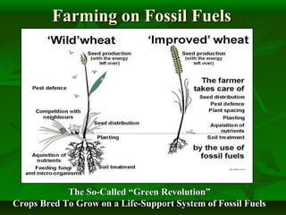 Farming on Fossil FuelsFarming on Fossil Fuels
The So-Called “Green Revolution”The So-Called “Green Revolution”
Crops Bred To Grow on a Life-Support System of Fossil FuelsCrops Bred To Grow on a Life-Support System of Fossil Fuels
 