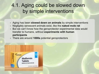4.1. Aging could be slowed down
by simple interventions
• Aging has been slowed down on animals by simple interventions
• Negligibly senescent animals exist, like the naked mole rat
• But we can’t know how the geroprotector experimental data would
transfer to humans, without experiments with human
participants
• There are around 1000s potential geroprotectors
 