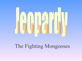 The Fighting Mongooses Jeopardy 