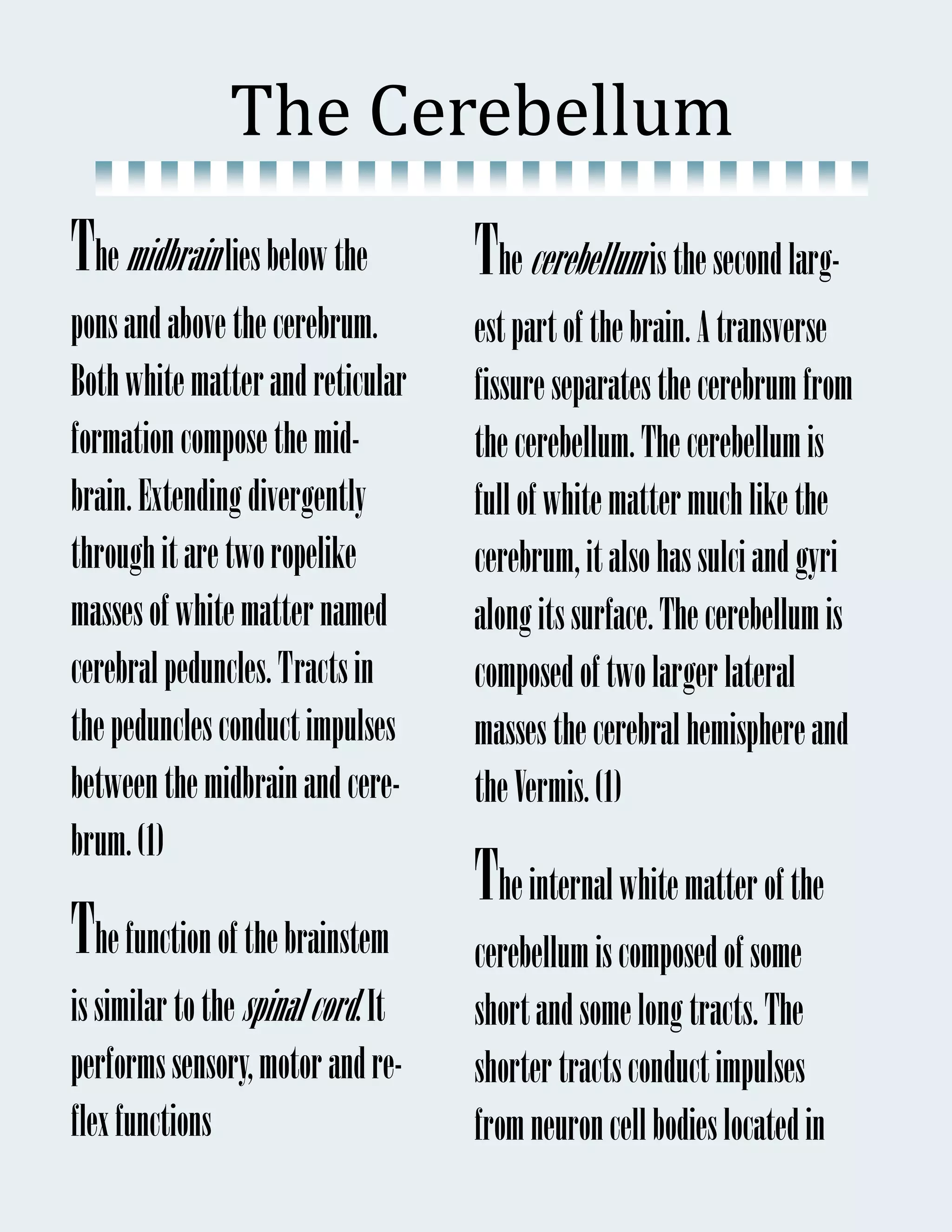 The	Cerebellum	
The midbrain lies below the         The cerebellum is the second larg-
pons and above the cerebrum.        est part of the brain. A transverse
Both white matter and reticular     fissure separates the cerebrum from
formation compose the mid-          the cerebellum. The cerebellum is
brain. Extending divergently        full of white matter much like the
through it are two ropelike         cerebrum, it also has sulci and gyri
masses of white matter named        along its surface. The cerebellum is
cerebral peduncles. Tracts in       composed of two larger lateral
the peduncles conduct impulses      masses the cerebral hemisphere and
between the midbrain and cere-      the Vermis. (1)
brum. (1)
                                    The internal white matter of the
The function of the brainstem       cerebellum is composed of some
is similar to the spinal cord. It   short and some long tracts. The
performs sensory, motor and re-     shorter tracts conduct impulses
flex functions                      from neuron cell bodies located in
 