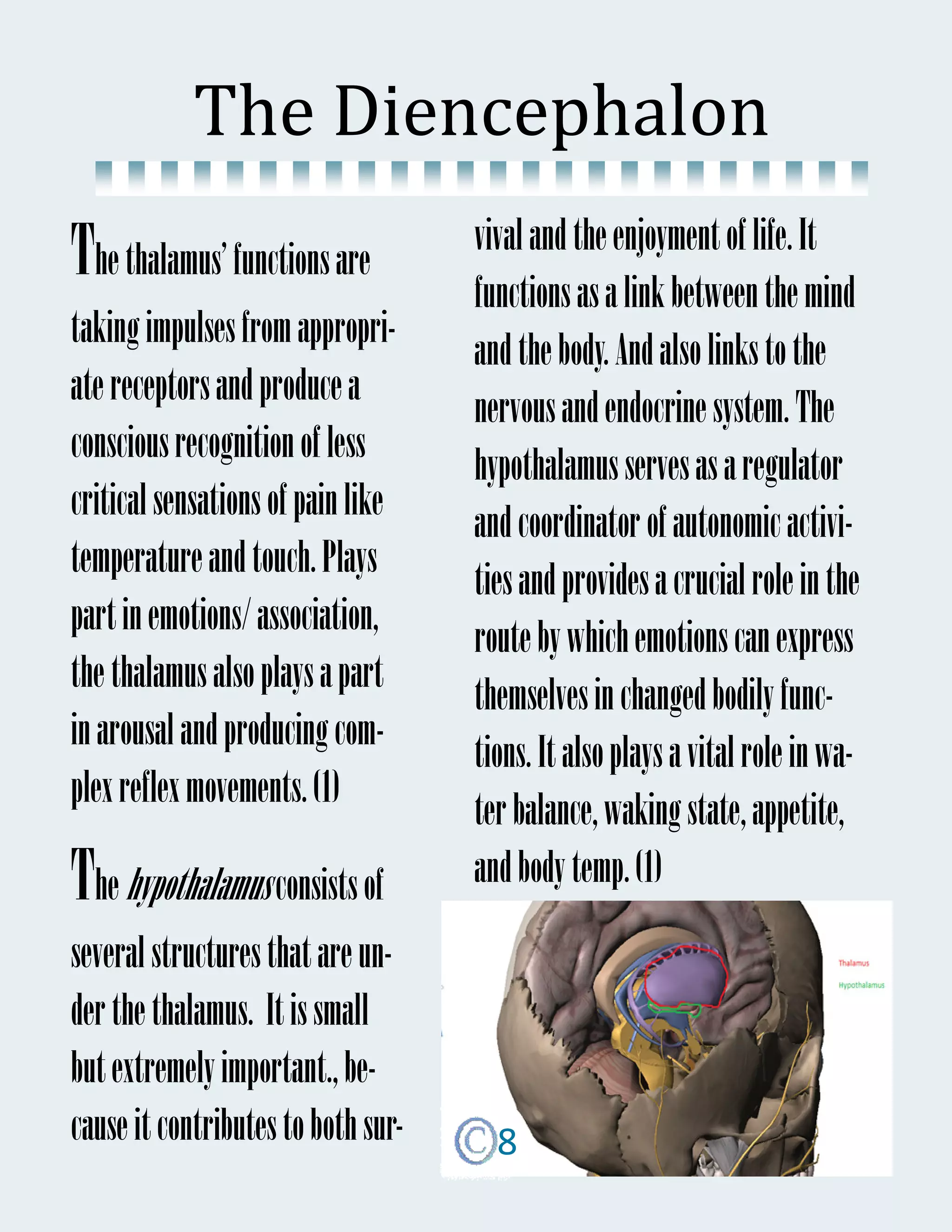 The	Diencephalon 	
                                    vival and the enjoyment of life. It
The thalamus’ functions are         functions as a link between the mind
taking impulses from appropri-
                                    and the body. And also links to the
ate receptors and produce a
                                    nervous and endocrine system. The
conscious recognition of less
                                    hypothalamus serves as a regulator
critical sensations of pain like
                                    and coordinator of autonomic activi-
temperature and touch. Plays
                                    ties and provides a crucial role in the
part in emotions/ association,
                                    route by which emotions can express
the thalamus also plays a part
                                    themselves in changed bodily func-
in arousal and producing com-
                                    tions. It also plays a vital role in wa-
plex reflex movements. (1)
                                    ter balance, waking state, appetite,
The hypothalamus consists of        and body temp. (1)
several structures that are un-
der the thalamus. It is small
but extremely important., be-
cause it contributes to both sur-     8
 
