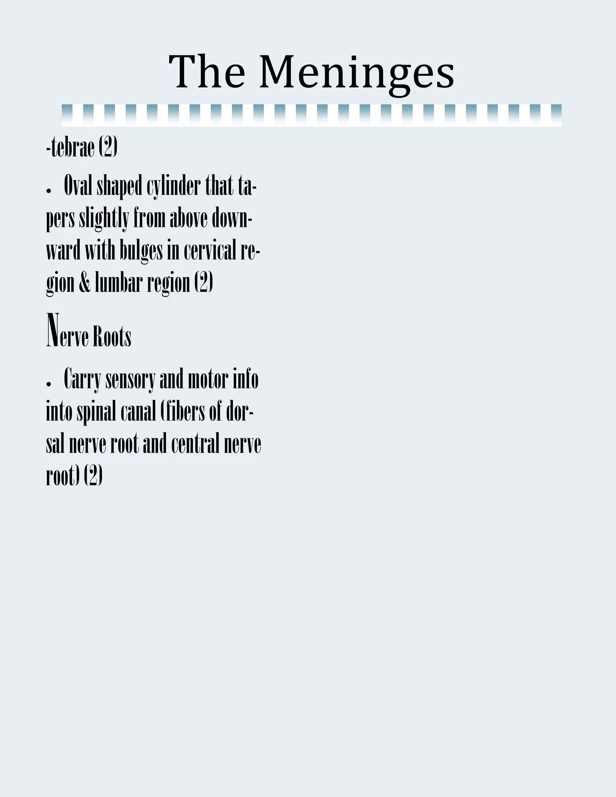 The	Meninges 	
-tebrae (2)
• Oval shaped cylinder that ta-

pers slightly from above down-
ward with bulges in cervical re-
gion & lumbar region (2)
Nerve Roots
•  Carry sensory and motor info
into spinal canal (fibers of dor-
sal nerve root and central nerve
root) (2)
 