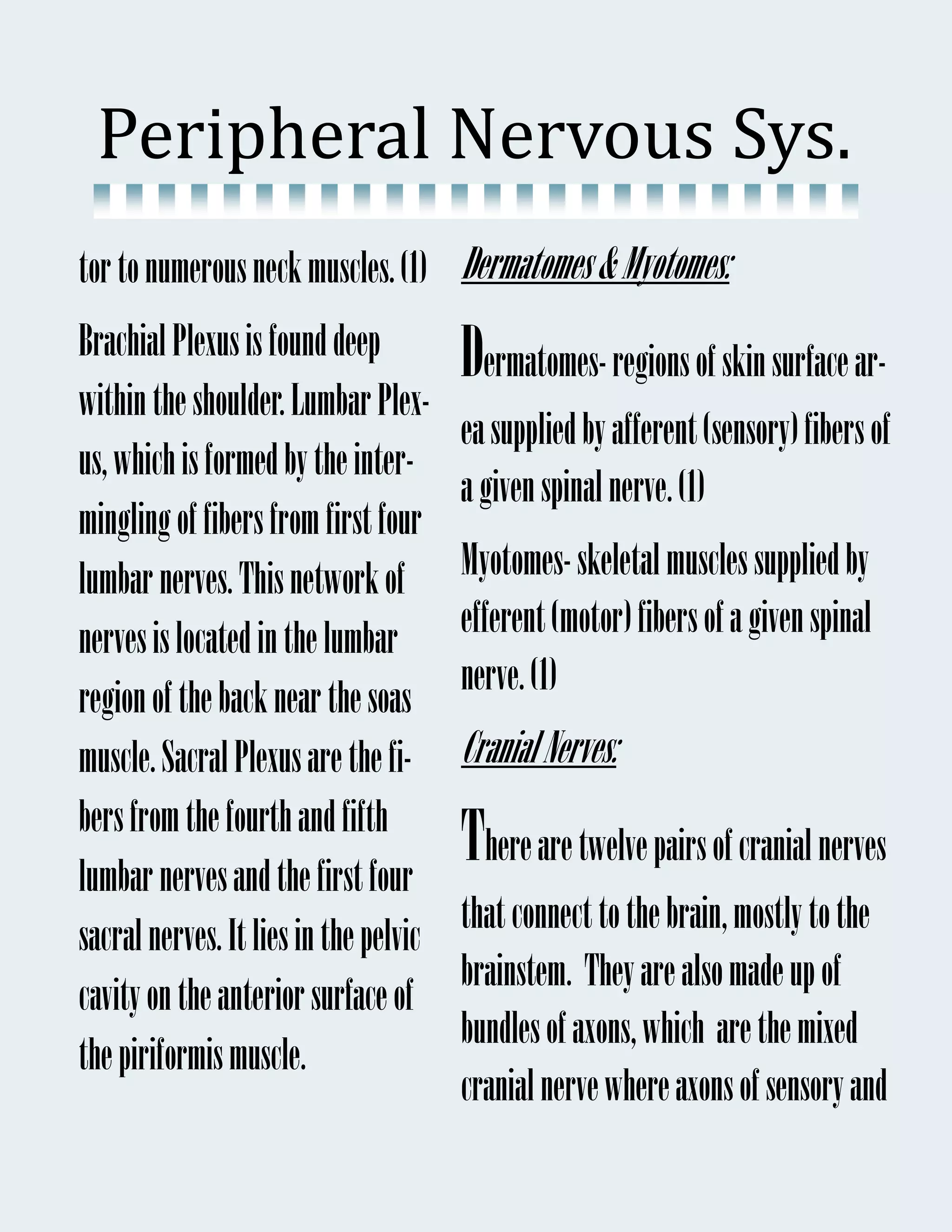 Peripheral	Nervous	Sys.	
tor to numerous neck muscles. (1) Dermatomes & Myotomes:
Brachial Plexus is found deep          Dermatomes- regions of skin surface ar-
within the shoulder. Lumbar Plex-
                                       ea supplied by afferent (sensory) fibers of
us, which is formed by the inter-
                                       a given spinal nerve. (1)
mingling of fibers from first four
lumbar nerves. This network of         Myotomes- skeletal muscles supplied by
nerves is located in the lumbar        efferent (motor) fibers of a given spinal
                                       nerve. (1)
region of the back near the soas
muscle. Sacral Plexus are the fi-      Cranial Nerves:
bers from the fourth and fifth
lumbar nerves and the first four
                                       There are twelve pairs of cranial nerves
                                       that connect to the brain, mostly to the
sacral nerves. It lies in the pelvic
                                       brainstem. They are also made up of
cavity on the anterior surface of
                                       bundles of axons, which are the mixed
the piriformis muscle.
                                       cranial nerve where axons of sensory and
 