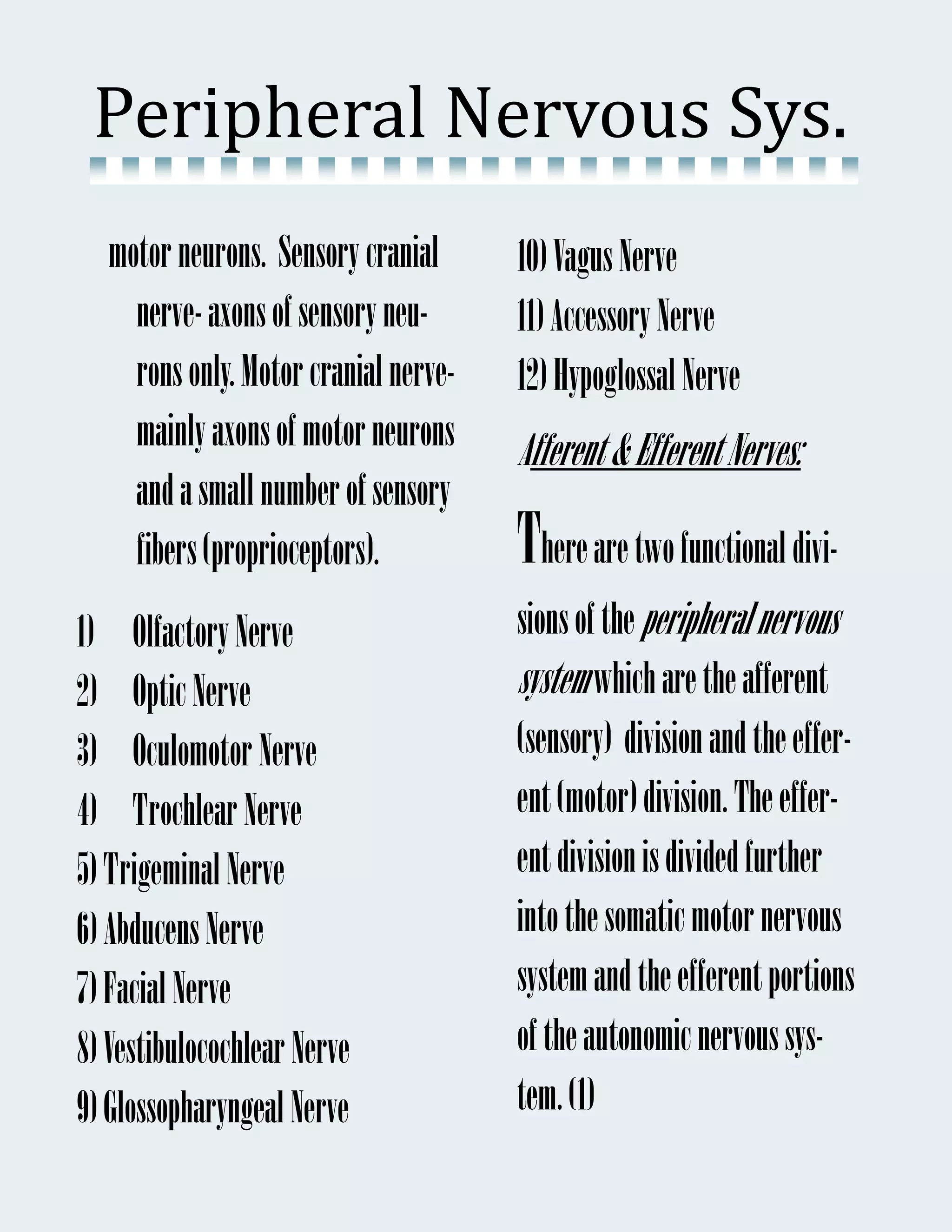 Peripheral	Nervous	Sys.	
   motor neurons. Sensory cranial      10) Vagus Nerve
     nerve- axons of sensory neu-      11) Accessory Nerve
     rons only. Motor cranial nerve-   12) Hypoglossal Nerve
     mainly axons of motor neurons     Afferent & Efferent Nerves:
     and a small number of sensory
     fibers (proprioceptors).          There are two functional divi-
1) Olfactory Nerve                     sions of the peripheral nervous
2) Optic Nerve                         system which are the afferent
3) Oculomotor Nerve                    (sensory) division and the effer-
4) Trochlear Nerve                     ent (motor) division. The effer-
5) Trigeminal Nerve                    ent division is divided further
6) Abducens Nerve                      into the somatic motor nervous
7) Facial Nerve                        system and the efferent portions
8) Vestibulocochlear Nerve             of the autonomic nervous sys-
9) Glossopharyngeal Nerve              tem. (1)
 