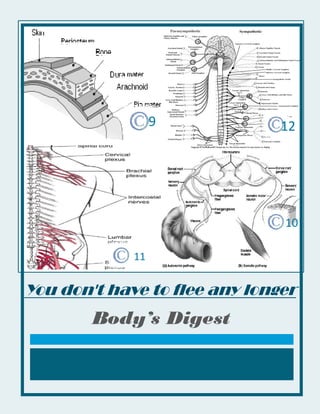 9            12




                               10

             11


You don't have to flee any longer
        Body’s Digest
 