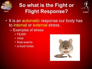 Fight Or Flight Example With Rats Fight or flight 2016 | PPTX