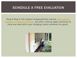Slug-A-Bug is the largest independently owned pest control company in Brevard County, we offer cutting edge solutions to help you deal with your stinging insect problem for good.Schedule a free evaluation