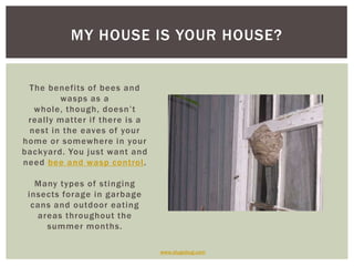 The benefits of bees and wasps as a whole, though, doesn’t really matter if there is a nest in the eaves of your home or s...