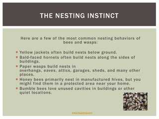 www.slugabug.comThe Nesting InstinctHere are a few of the most common nesting behaviors of bees and wasps:Yellow jackets often build nests below ground. Bald-faced hornets often build nests along the sides of buildings.Paper wasps build nests in overhangs, eaves, attics, garages, sheds, and many other places.Honey bees primarily nest in manufactured hives, but you might find them in a protected area near your home.Bumble bees love unused cavities in buildings or other quiet locations.