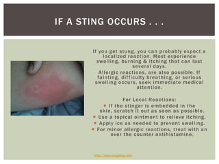 If you get stung, you can probably expect a localized reaction. Most experience swelling, burning & itching that can last several days. Allergic reactions, are also possible. If fainting, difficulty breathing, or serious swelling occurs, seek immediate medical attention. For Local Reactions:If the stinger is embedded in the skin, scratch it out as soon as possible.Use a topical ointment to relieve itching.Apply ice as needed to prevent swelling.For minor allergic reactions, treat with an over the counter antihistamine.http://www.slugabug.comIf a Sting Occurs . . .