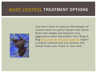 You don’t have to take on the danger of a bees nest or a giant wasps nest alone. Bees and wasps can become very aggressive when disturbed. Your Slug-A-Bug bee control and pest control expert is highly trained and can remove the threat from your home in one visit. Wasp Control Treatment Options