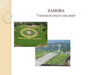 ZAMORA“CIUDAD DE AVES Y CASCADAS” 