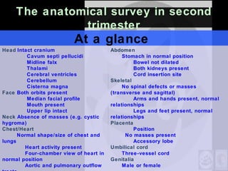 The anatomical survey in second
trimester
At a glance
Head Intact cranium
Cavum septi pellucidi
Midline falx
Thalami
Cerebral ventricles
Cerebellum
Cisterna magna
Face Both orbits present
Median facial profile
Mouth present
Upper lip intact
Neck Absence of masses (e.g. cystic
hygroma)
Chest/Heart
Normal shape/size of chest and
lungs
Heart activity present
Four-chamber view of heart in
normal position
Aortic and pulmonary outflow
Abdomen
Stomach in normal position
Bowel not dilated
Both kidneys present
Cord insertion site
Skeletal
No spinal defects or masses
(transverse and sagittal)
Arms and hands present, normal
relationships
Legs and feet present, normal
relationships
Placenta
Position
No masses present
Accessory lobe
Umbilical cord
Three-vessel cord
Genitalia
Male or female
 