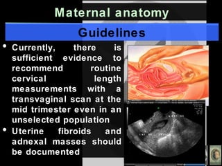 Maternal anatomy
Guidelines
• Currently, there is
sufficient evidence to
recommend routine
cervical length
measurements with a
transvaginal scan at the
mid trimester even in an
unselected population
• Uterine fibroids and
adnexal masses should
be documented
 