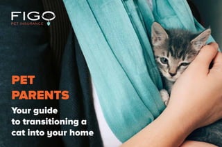 Your guide
to transitioning a
cat into your home
PET
PARENTS
 