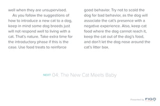 well when they are unsupervised.
As you follow the suggestions of
how to introduce a new cat to a dog,
keep in mind some dog breeds just
will not respond well to living with a
cat. That’s nature. Take extra time for
the introductory phase if this is the
case. Use food treats to reinforce
good behavior. Try not to scold the
dog for bad behavior, as the dog will
associate the cat’s presence with a
negative experience. Also, keep cat
food where the dog cannot reach it,
keep the cat out of the dog’s food,
and don’t let the dog nose around the
cat’s litter box.
NEXT 04: The New Cat Meets Baby
Presented by
 