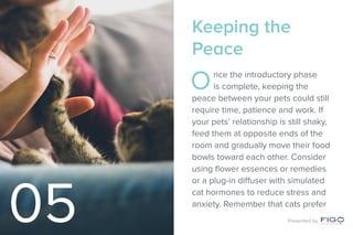 Keeping the
Peace
Once the introductory phase
is complete, keeping the
peace between your pets could still
require time, patience and work. If
your pets’ relationship is still shaky,
feed them at opposite ends of the
room and gradually move their food
bowls toward each other. Consider
using flower essences or remedies
or a plug-in diffuser with simulated
cat hormones to reduce stress and
anxiety. Remember that cats prefer
05 Presented by
 