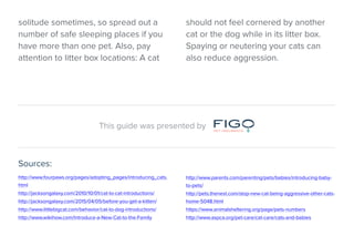 solitude sometimes, so spread out a
number of safe sleeping places if you
have more than one pet. Also, pay
attention to litter box locations: A cat
should not feel cornered by another
cat or the dog while in its litter box.
Spaying or neutering your cats can
also reduce aggression.
http://www.fourpaws.org/pages/adopting_pages/introducing_cats.
html
http://jacksongalaxy.com/2010/10/01/cat-to-cat-introductions/
http://jacksongalaxy.com/2015/04/05/before-you-get-a-kitten/
http://www.littlebigcat.com/behavior/cat-to-dog-introductions/
http://www.wikihow.com/Introduce-a-New-Cat-to-the-Family
http://www.parents.com/parenting/pets/babies/introducing-baby-
to-pets/
http://pets.thenest.com/stop-new-cat-being-aggressive-other-cats-
home-5048.html
https://www.animalsheltering.org/page/pets-numbers
http://www.aspca.org/pet-care/cat-care/cats-and-babies
This guide was presented by
Sources:
 