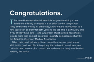 Congratulations.
That cute kitten was simply irresistible, so you are adding a new
feline to the family. Or maybe it is an adult cat that caught your
fancy and will be moving in. Either way, know that the introduction to a
new space can be tricky for both you and the cat. This is particularly true
if you already have pets — and 62 percent of pet-owning households
include more than one pet, according to a 2012 demographic study by
the American Veterinary Medical Association.
When pets don’t get along, it can cause their owners great stress.
With that in mind, we offer this quick guide on how to introduce a new
cat to its new home — plus current pets and even the baby — while also
keeping the peace.
Presented by
 