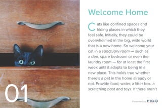 Welcome Home
Cats like confined spaces and
hiding places in which they
feel safe. Initially, they could be
overwhelmed in the big, wide world
that is a new home. So welcome your
cat in a sanctuary room — such as
a den, spare bedroom or even the
laundry room — for at least the first
week until it adapts to being in a
new place. This holds true whether
there’s a pet in the home already or
not. Provide food, water, a litter box, a
scratching post and toys. If there aren’t
01 Presented by
 