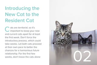 Introducing the
New Cat to the
Resident Cat
Cats are territorial, so it’s
important to keep your new
and current cats apart for at least
the first week. Don’t force the
introductory process, which could
take weeks. Let both cats proceed
at their own pace to better the
chances for a harmonious future
relationship. For the first few
weeks, don’t leave the cats alone
02
 