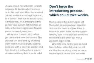 unsupervised. Pay attention to body
language to decide when to move
on to the next step. Give the resident
cat extra attention during this period,
so it doesn’t fear that its social status
is threatened. Also, throughout this
period, your current cat may hiss or
hide, or be more aggressive toward
you — or even ignore you.
Allow your current cat(s) to first
get used to the new cat’s scent. This
process can be aided by brushing
them with the same brush, rubbing
each one with a towel or blanket and
then leaving it in the other’s space,
or even switching their spaces to let
them explore the other’s spot. Let
them visit or play paws on opposite
sides of the door, and give them a
treat — or even make this the regular
feeding spot — so each will associate
the scent of the other cat with a
pleasant experience.
When it’s time for the cats to meet
face-to-face, either let your current
cat into the sanctuary room or use a
neutral space. Make sure each has
Don’t force the
introductory process,
which could take weeks.
Presented by
 