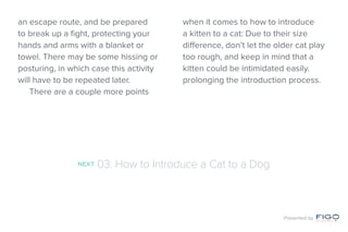 an escape route, and be prepared
to break up a fight, protecting your
hands and arms with a blanket or
towel. There may be some hissing or
posturing, in which case this activity
will have to be repeated later.
There are a couple more points
when it comes to how to introduce
a kitten to a cat: Due to their size
difference, don’t let the older cat play
too rough, and keep in mind that a
kitten could be intimidated easily.
prolonging the introduction process.
NEXT 03: How to Introduce a Cat to a Dog
Presented by
 
