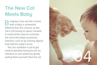 The New Cat
Meets Baby
Bringing a new cat into a home
with a baby is somewhat
different than the reverse, as the
cat is no...
