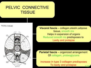 VDP PELVIC  CONNECTIVE TISSUE Visceral fascia  – collagen,elastin,adipose  tissue,  smooth ms Helps in expansion of organs Reduced smooth ms  predisposes to  Laxity and prolapse Parietal fascia  – organized arrangement  Of  collagen, proteoglycans increase in type 3 collagen predisposes  To laxity and prolapse  