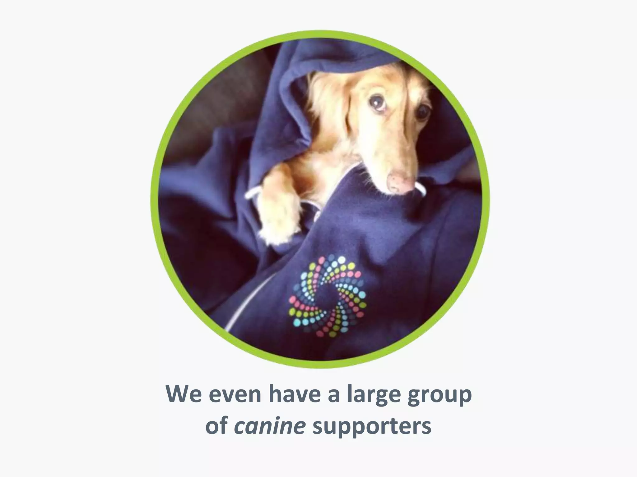 We even have a large group 
of canine supporters 
 