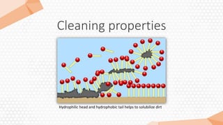 Cleaning properties
Hydrophilic head and hydrophobic tail helps to solubilize dirt
 