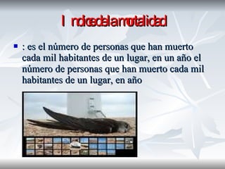 Indice de la mortalidad : es el número de personas que han muerto cada mil habitantes de un lugar, en un año el número de personas que han muerto cada mil habitantes de un lugar, en año  