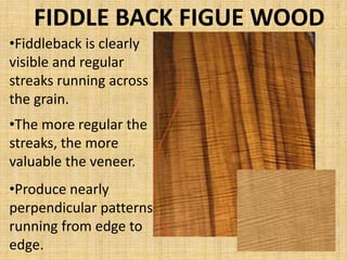 Fiddleback Tree Figuers of wood | PPTX