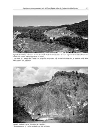 179La primera explotación minera de la Sal Gema: La Vall Salina de Cardona (Cataluña, España)
Figura 2. “Vall Salina” de Cardona. El cerro de Sant Onofre divide el valle en dos. Al fondo, se pueden observar los afloramientos
salinos de la Serra de la Sal (fotografía de A. Fíguls).
“Vall Salina” of Cardona. Saint Onofre’s hill divides the valley in two. The salt outcrops of the Serra de la Sal are visible in the
background (Photo A. Fíguls).
Figura 3. “Muntanya de Sal” (fotografía de A. Fíguls).
“Muntanya de Sal” [“The Salt Mountain”] (Photo A. Fíguls).
 