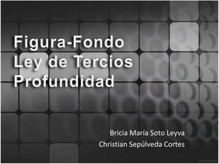 Bricia María Soto Leyva
Christian Sepúlveda Cortes
 