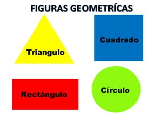 Cuadrado
Triangulo
Rectángulo
Círculo
 