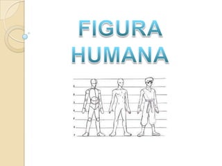 Figura humana