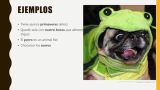 EJEMPLOS
• Tiene quince primaveras (años)
• Quedó sola con cuatro bocas que alimentar
(hijos)
• El perro es un animal fiel
• Chocaron los aceros
 